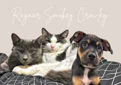 Custom Pet Portrait