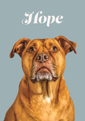Custom Pet Portrait