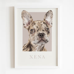Custom Pet Portrait