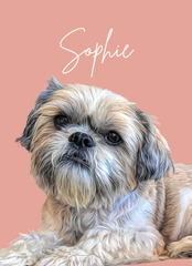 Custom Pet Portrait